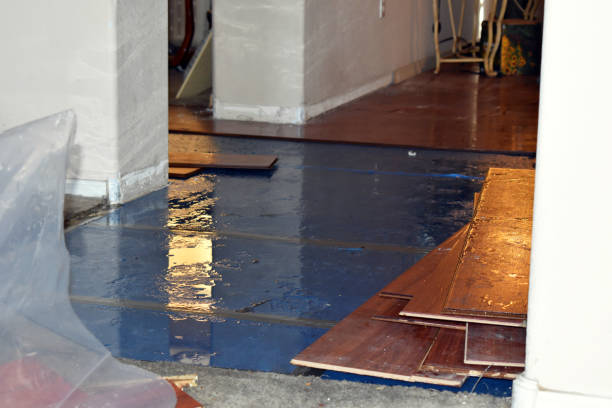 Professional Basement Flood Cleanup technician working in Sunnyside, WA